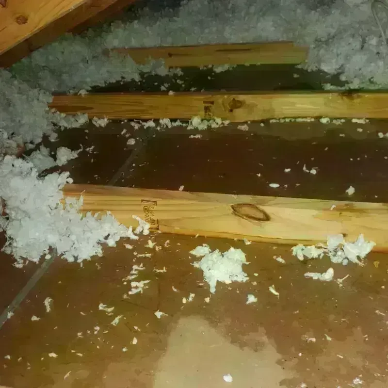 Attic Water Damage in Plattsburgh West, NY